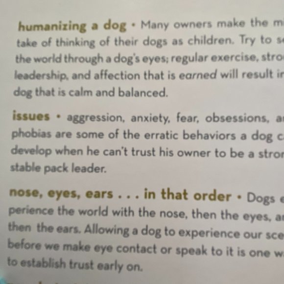 CESAR MILLAN - Picture 5 of 5